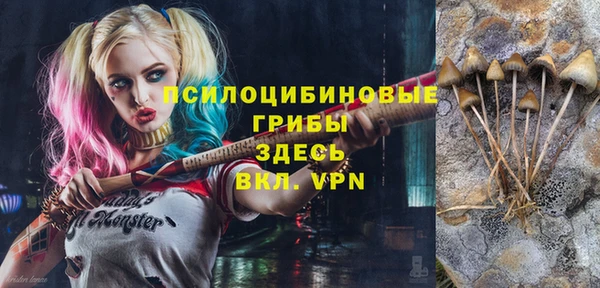 гашик Алексеевка