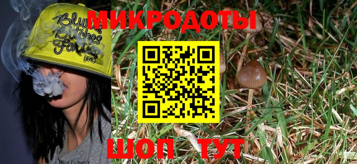 Галлюциногенные грибы MAGIC MUSHROOMS  хочу наркоту  Амурск  Вход с VPN 